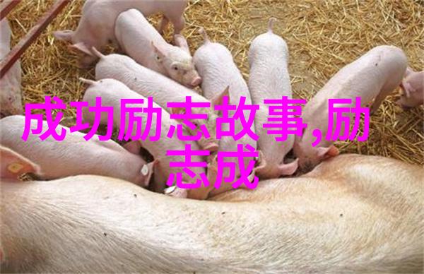 从草根到高峰中国现代名人励志故事