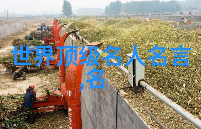 疯狂之声解读狂人日记中的哲思