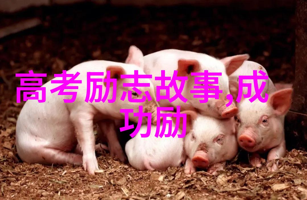 中国名人励志故事 - 李斯特弗兰克从街头艺人到国际钢琴巨星的奇迹之路