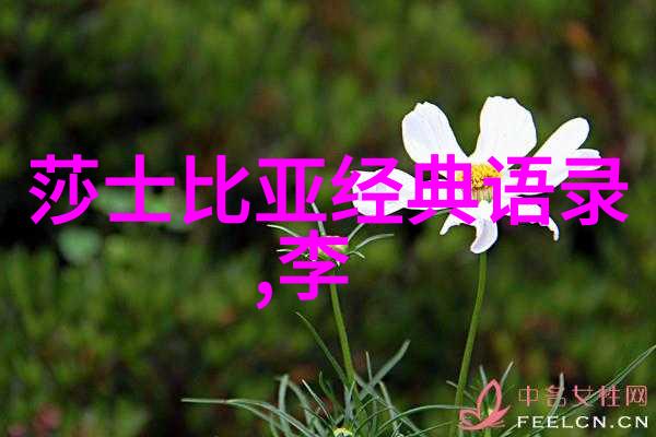 在镜子面前看我是怎么爱你的深情的自我探索与对你无尽的爱