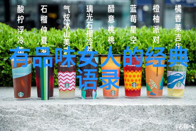 跨越时空的温暖语句探索从你的全世界路过经典语录的文化深度
