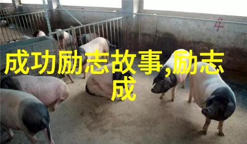 揭秘背后的男人探索那些打老婆者的深层原因与标志