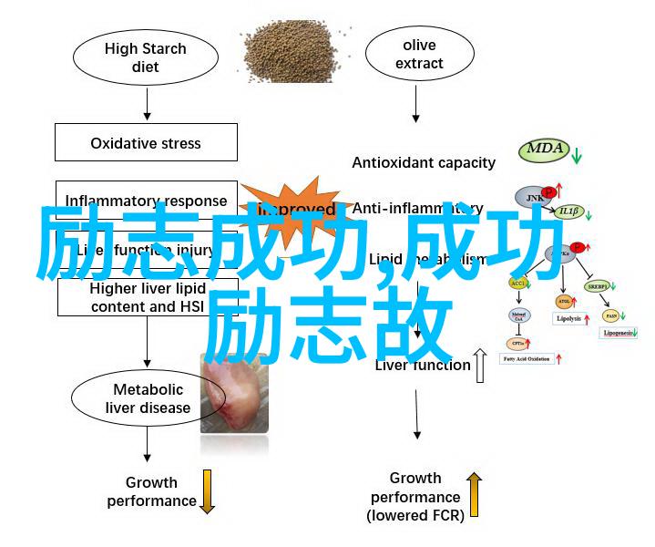 难道大男孩不想成为NO1吗中外名人励志故事100字