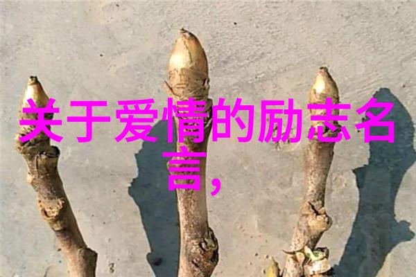 关于青春奋斗的人物素材我是那个在夜深人静时偷偷梦想的少年
