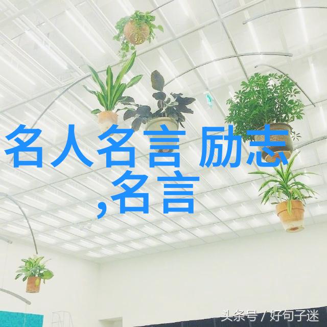 友情链接平台成年人之间的相遇难道不是只筛选不改变只接纳不强求吗