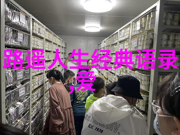 2007年的QQ空间里为什么我的伤感日志总是那么默契地吸引着你的关注