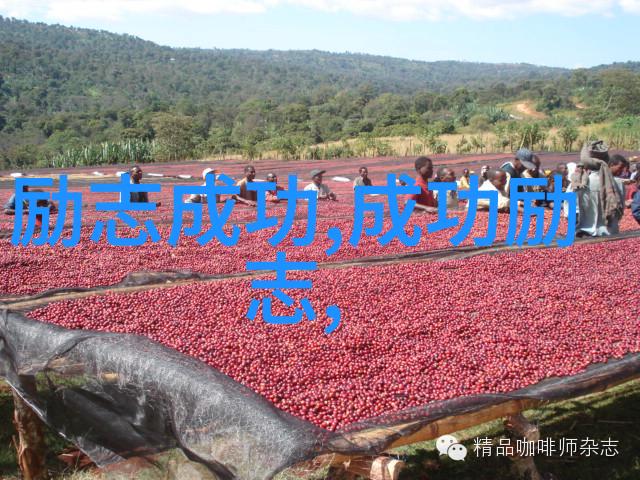 中国十大感人故事素材揭秘中华民族的深情与坚韧