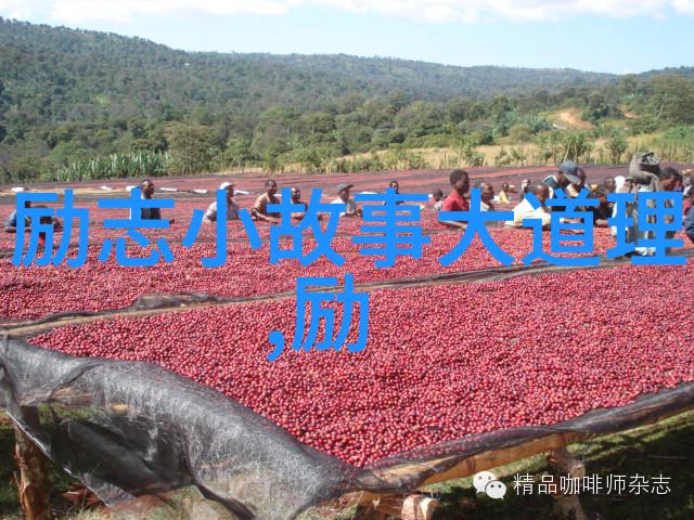 青春篇章中的经典语录探索其在学术研究中的价值与意义