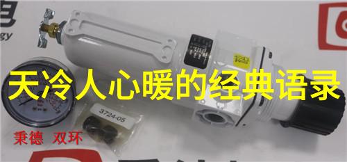 偶像的力量素材名人-闪耀星光探秘偶像背后的力量与成长