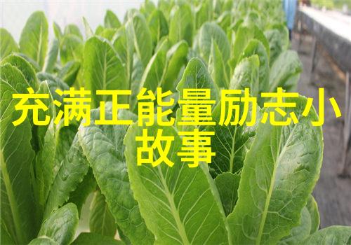 青砖9塔5层咸鱼之王的爱情故事