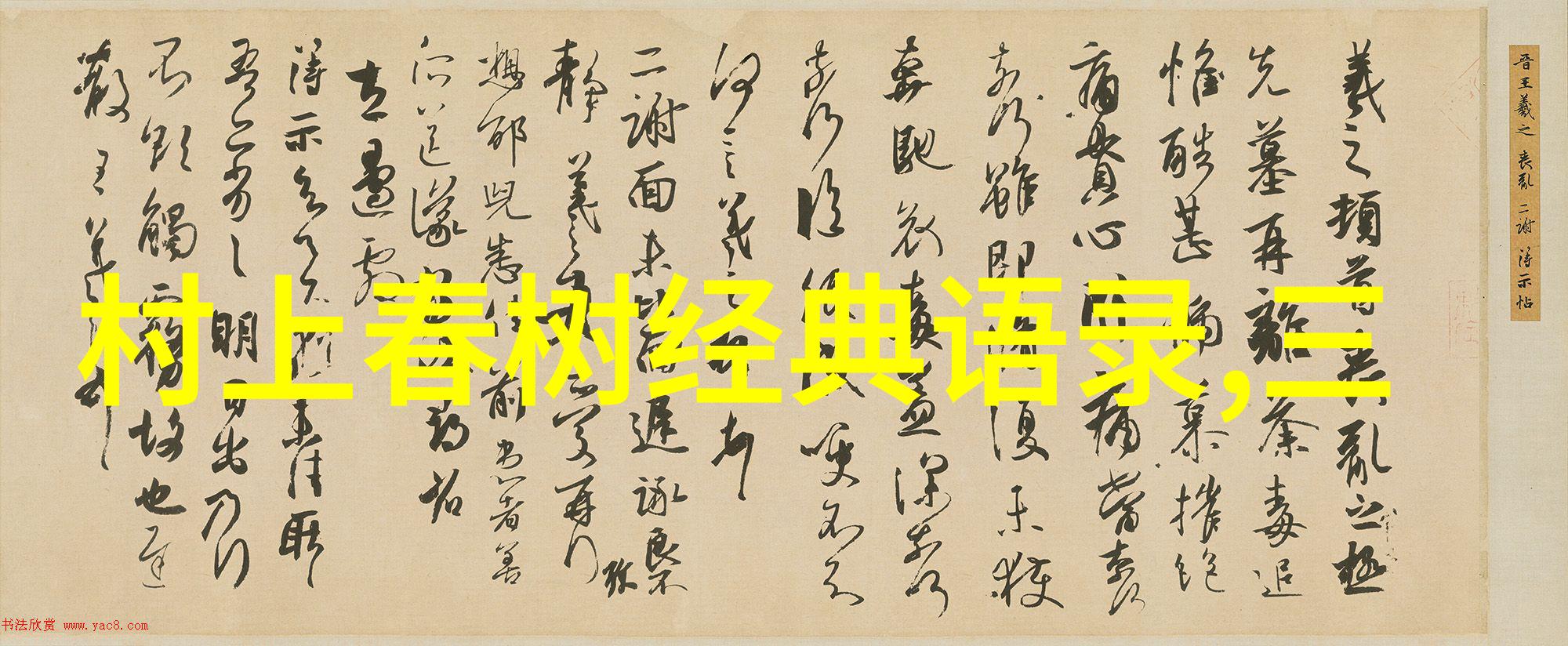 山巅之光一位孤儿的逆袭之谜
