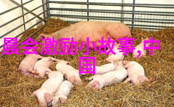 撩人的幽默情商高手的女儿们