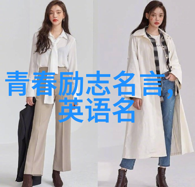 马保国经典语录逆袭教父的智慧之光