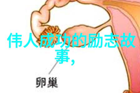 于晓光出轨我的朋友背后的秘密