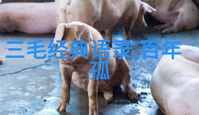 岁月的河流里平凡与伟大交织成传奇探索平凡的世界中的经典语录背后