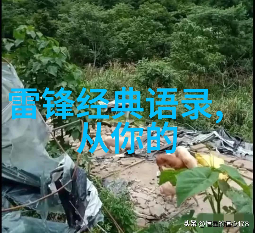 中国因你而美探索国之凝聚力与文化之魅力
