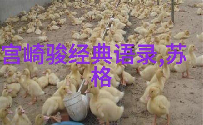 勇敢面对坚韧前行人生的第一个决断