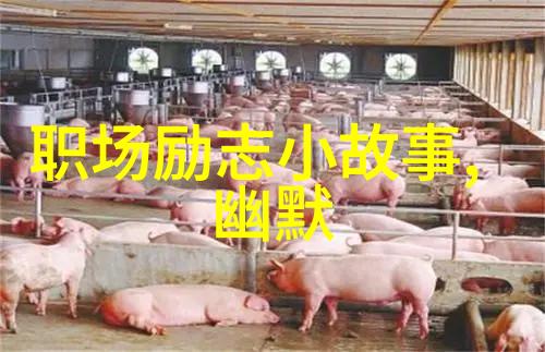 起点低于99的人她如同一颗种子在逆境中扎根终于开出耀眼的花朵