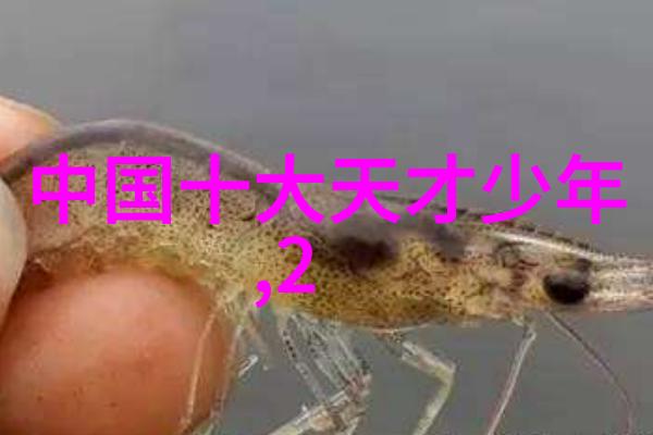 绽放在寒风中的花朵精神论如何将天冷人心暖变为生活指南