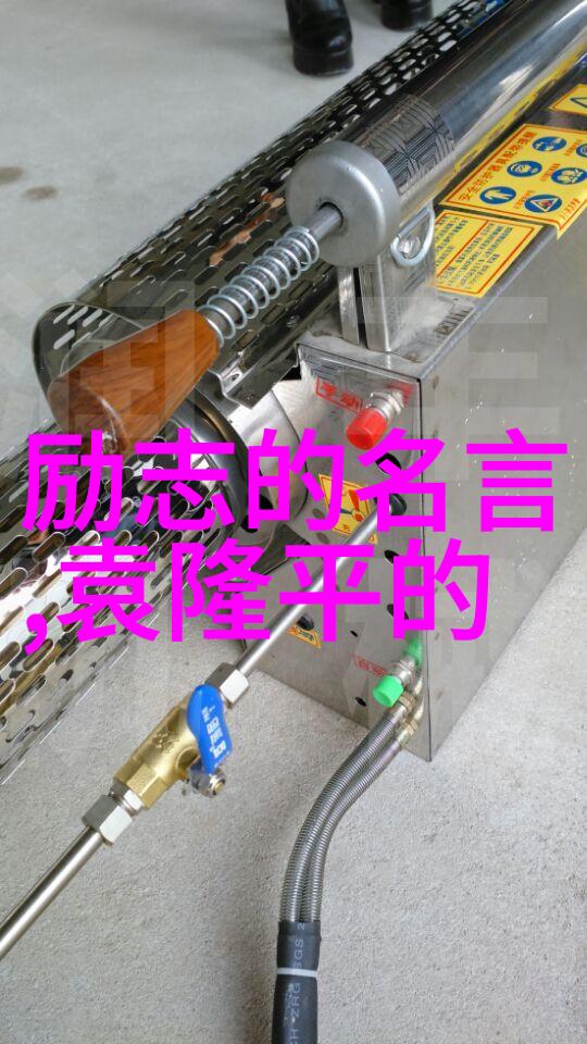 林清玄人生哲学与文学的融合之美