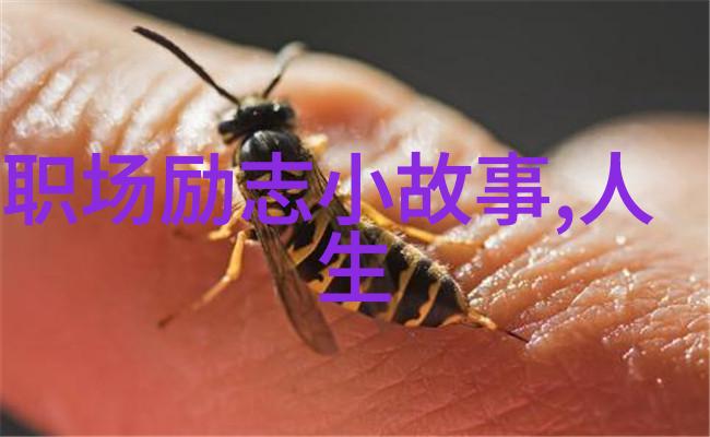 光辉足迹一位用善举暖心的社区领袖
