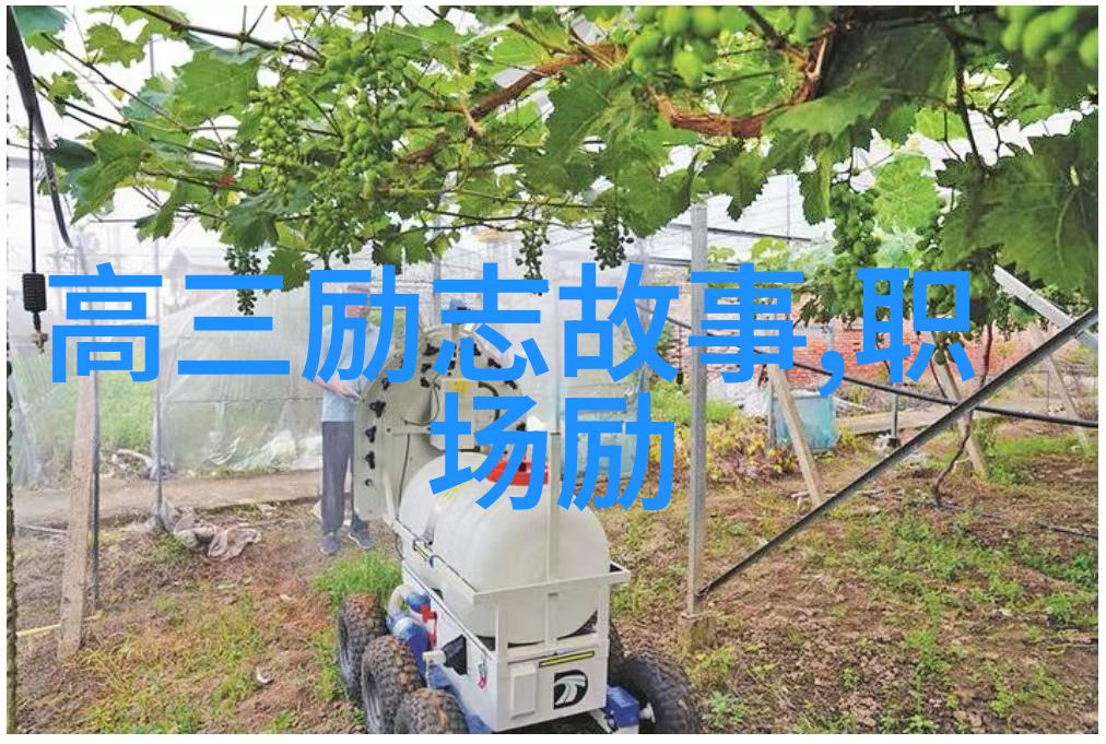 儿子挥拳父母痛家庭暴力女性伤揭秘后果及时救赎
