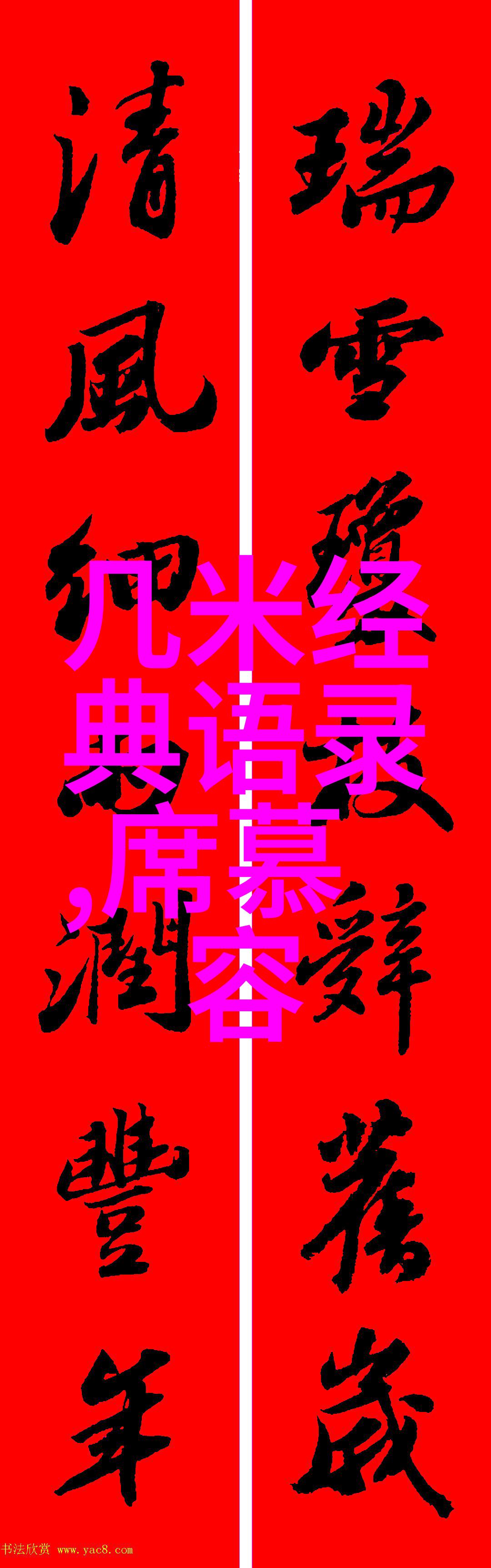 人间失格的孤独回声