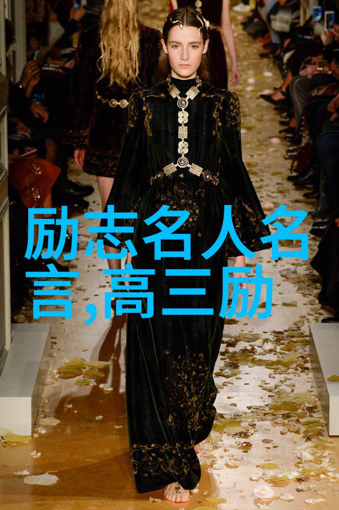 为了偶像而努力的名人追梦者李明从街头歌手到流行音乐巨星