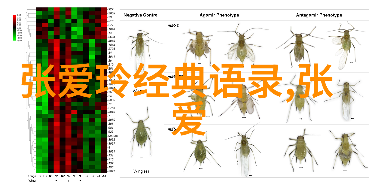 高山之巅的胜利者登山运动员面对极限挑战时的心理准备有哪些技巧
