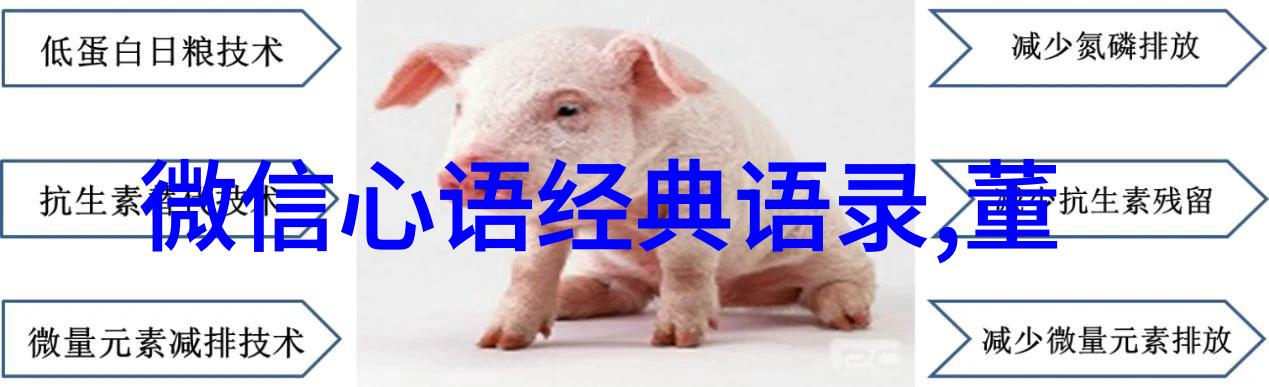 学习的力量激发潜能的光芒
