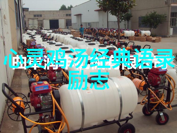 文字中的影子探索张爱玲经典语录的深意