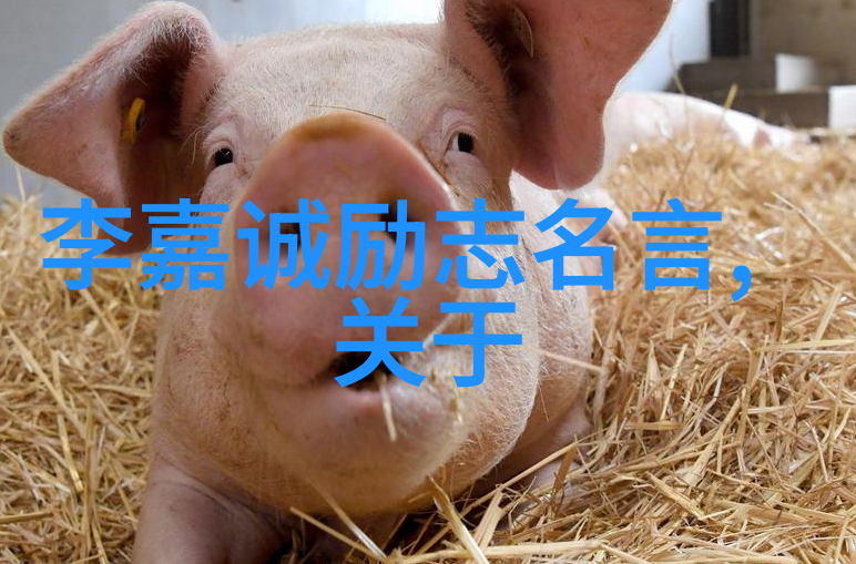 她的梦想是星空脚下的路是石头