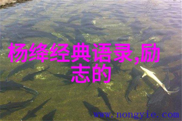 潮水欢迎你19岁女RAPPER的崛起与魅力