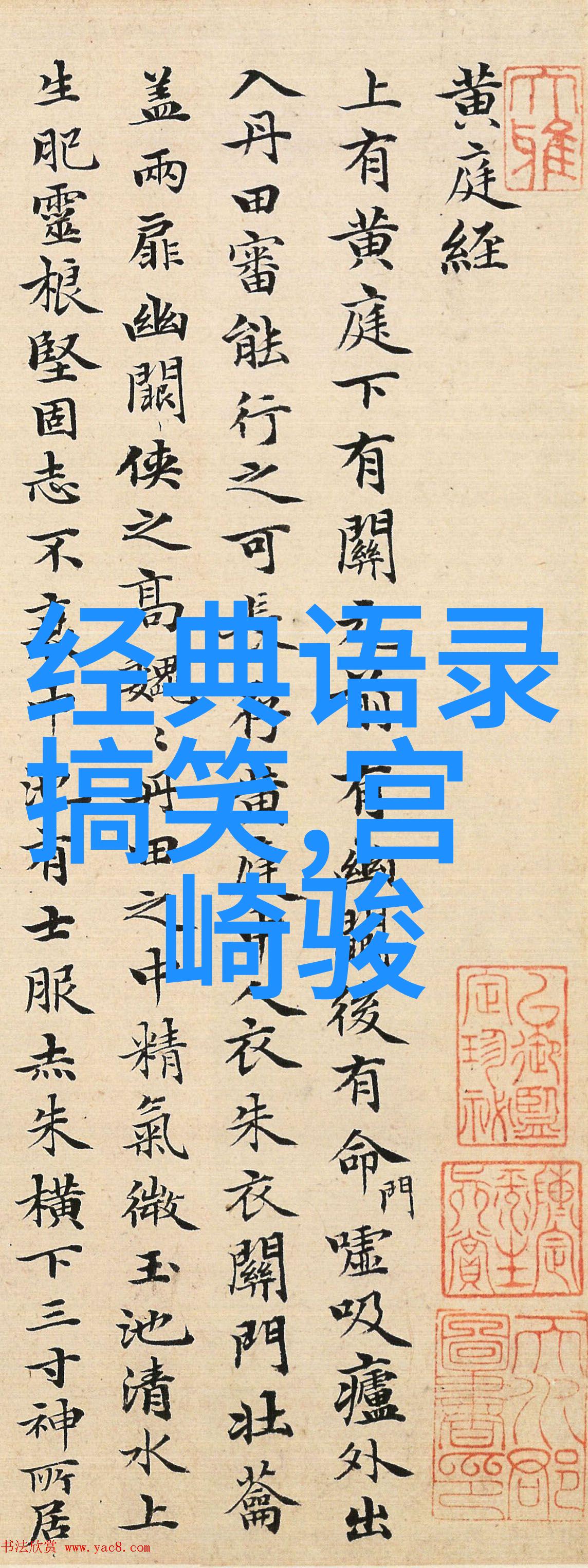 寒风中暖意绽放
