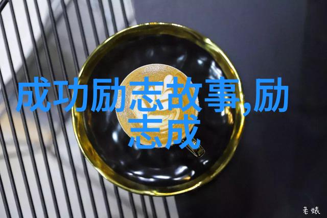 梦想飞翔者查尔斯林德伯格的空中冒险