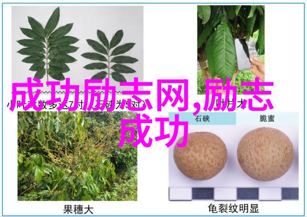 中国典型人物励志故事现代 - 从贫困村庄到科研巅峰张伟的不懈追梦
