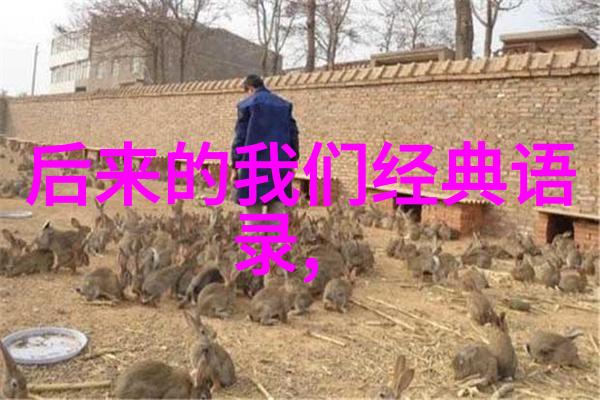 老公出轨第三者不舍得婚姻怎样挽回婚姻物品中的真心收藏与情感的深埋