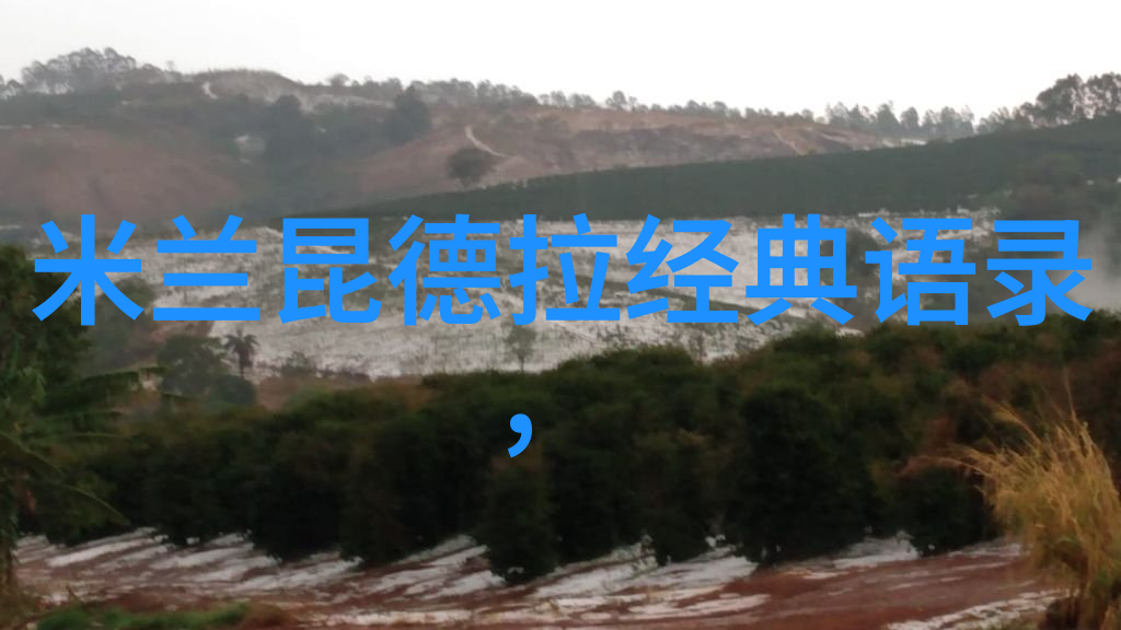 袁隆平的励志名言背后藏着怎样的科学梦想
