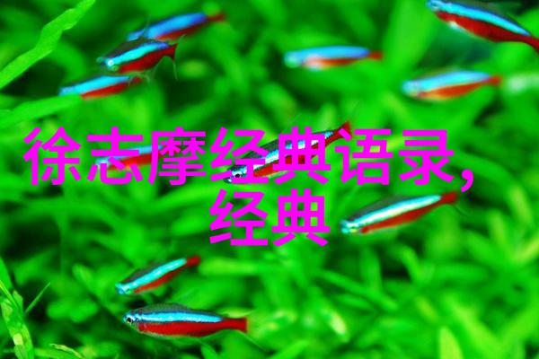 冰雪覆盖暖意融融天冷时刻感悟的人文智慧