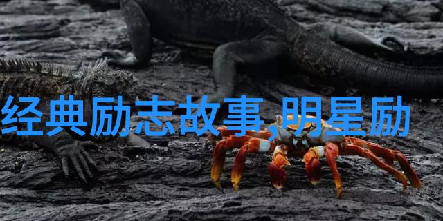 马保国的经典话语你若将过去抱得太紧怎么能腾出手来拥抱现在