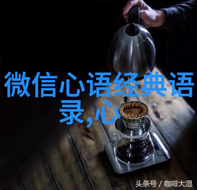 李敖提倡的自我革命意味着什么