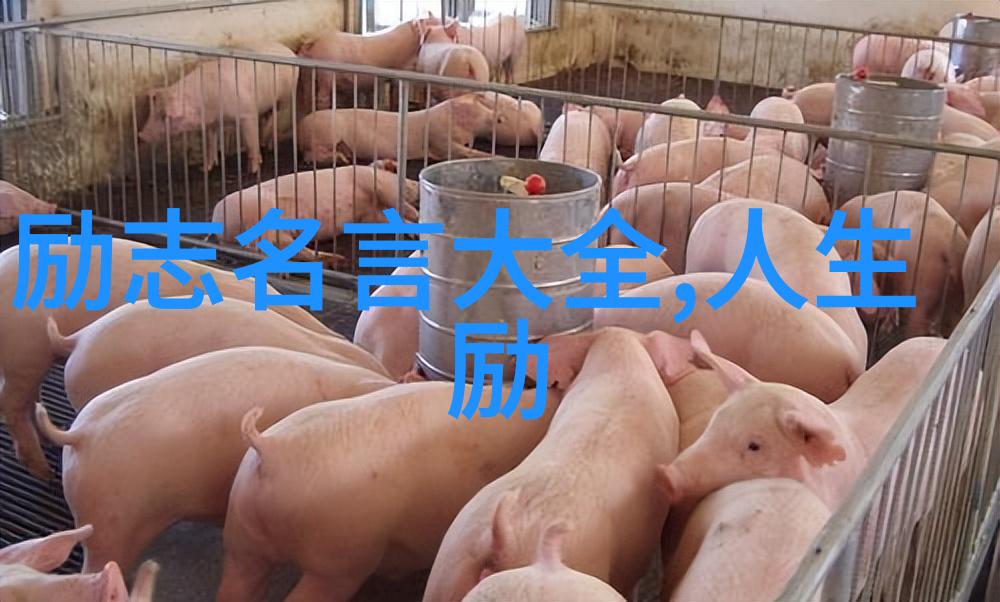 30分钟短片适合小学生 - 逆袭的艾米一个小女孩的篮球梦