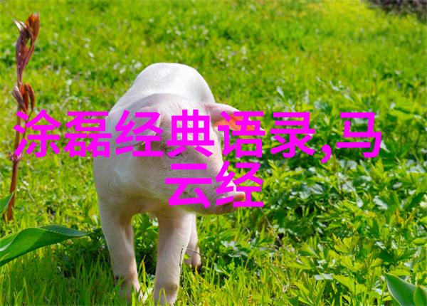 2021年人物素材积累记录与反思