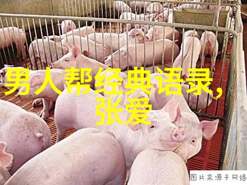 他们是怎样一步步成为90后的正能量人物的