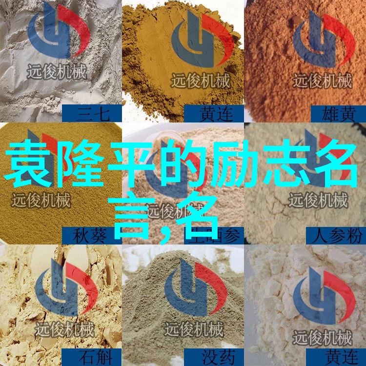 偶像激励粉丝的例子星光大道上的支持与力量