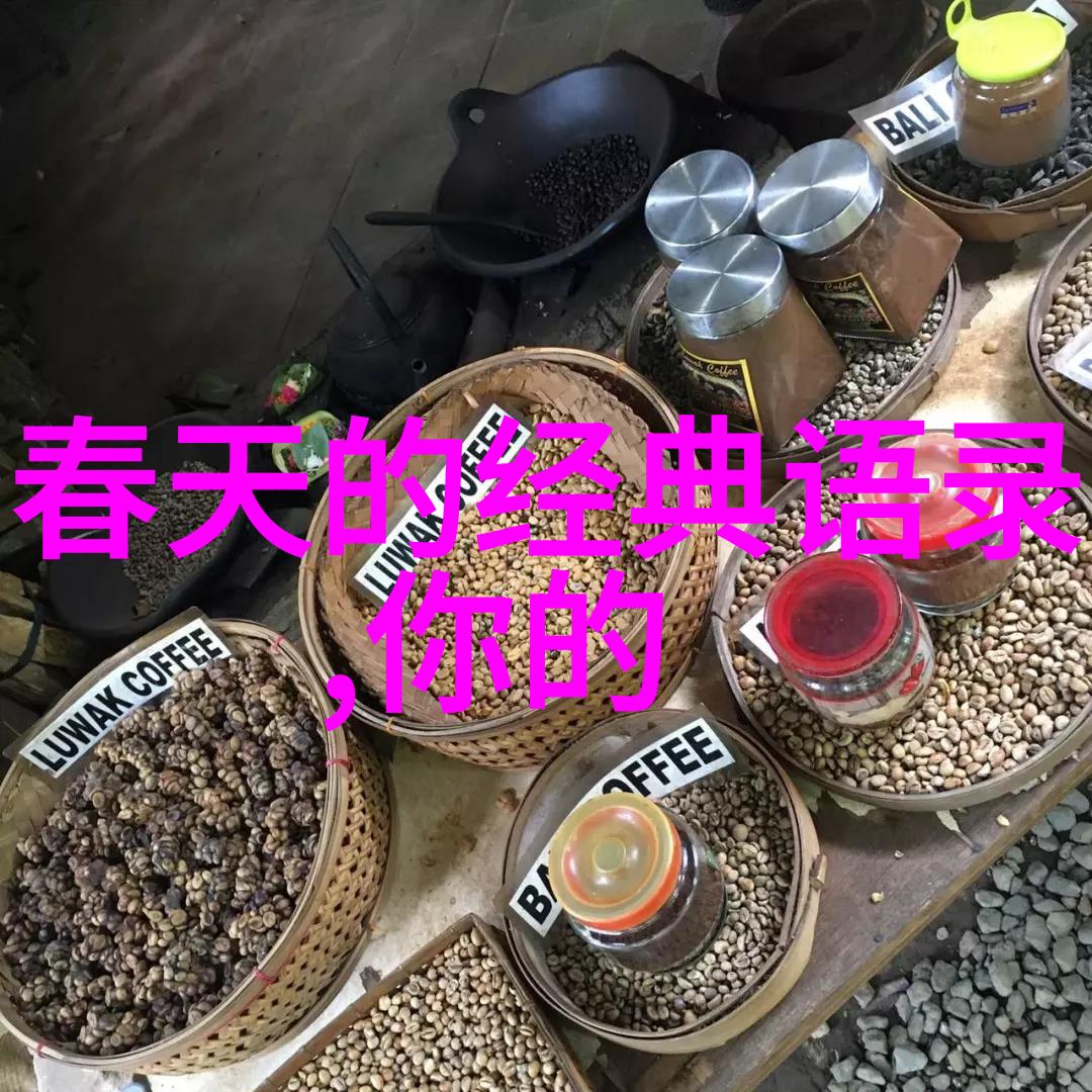 乱码星空探秘一二三区的迷雾世界