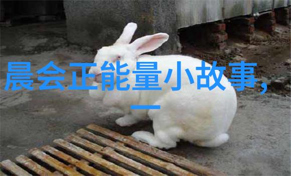 入园第一天的经典语录我记得那天老园丁说人生就像这园子多风景但不易游