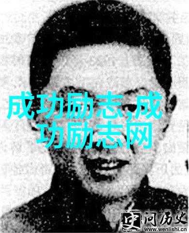 中国正能量之星光芒照耀全球