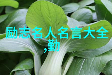 下载短视频素材打造精彩视觉体验的秘诀