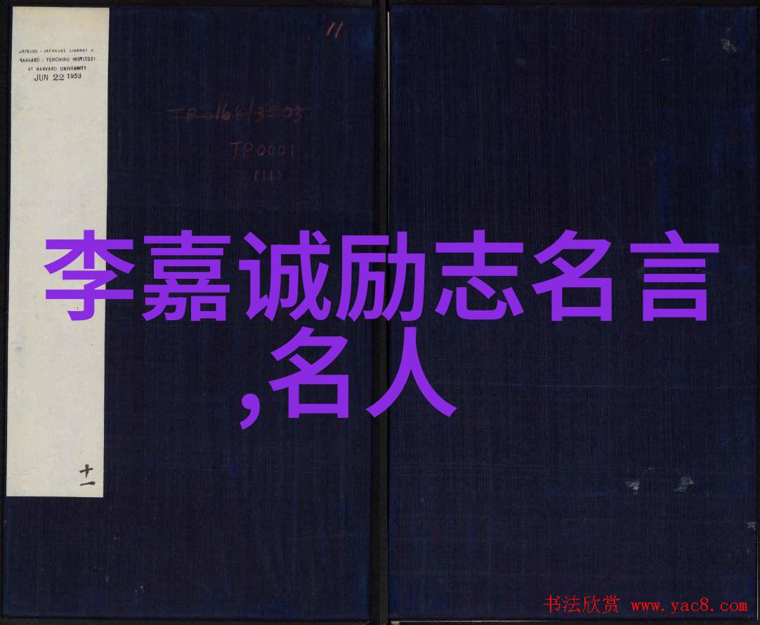 从你的全世界路过经典语录的穿越时空